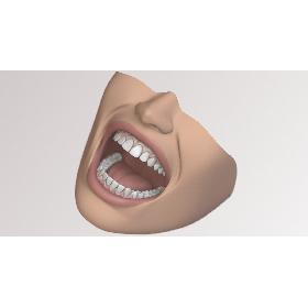 Dental Mouth Stiylzed 3D